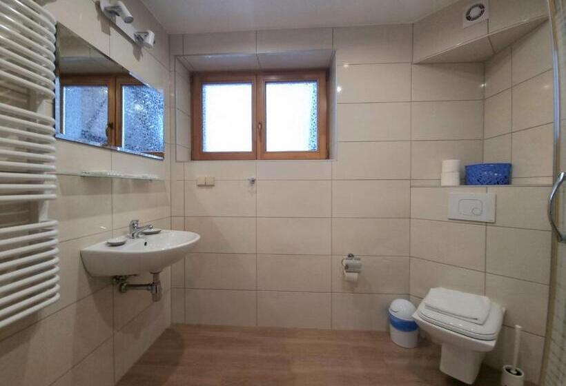 Апартаменты 1 Спальня с Террасой, Willa Antałówka