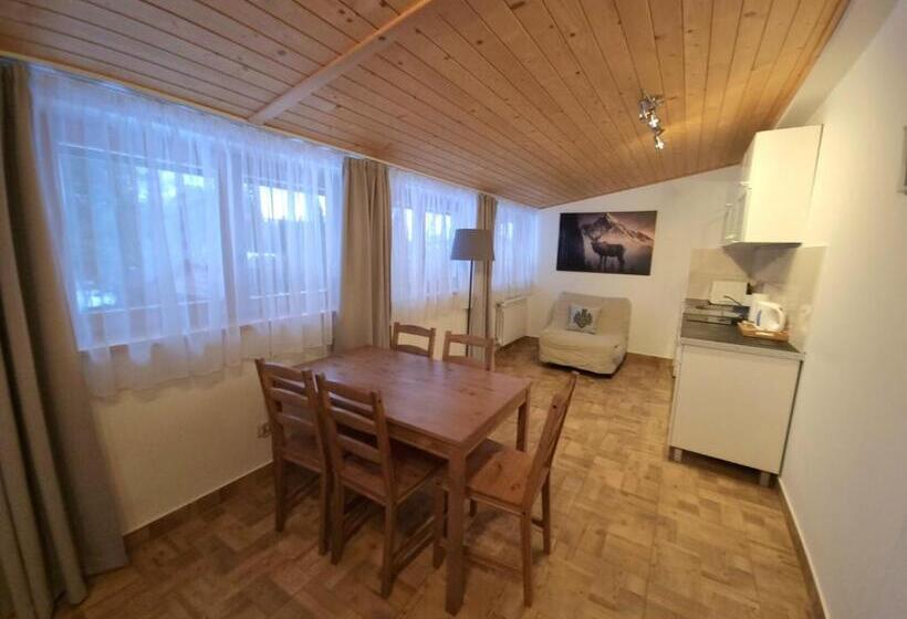 Апартаменты 1 Спальня с Террасой, Willa Antałówka