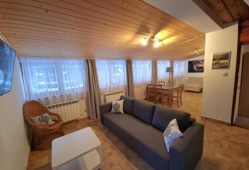 Апартаменты 1 Спальня с Террасой, Willa Antałówka