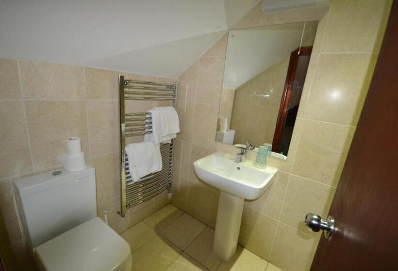 Номер Стандарт Трехместный, Airport Guest House