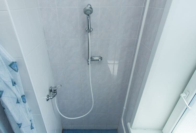 غرفة إقتصادية, Business Tourist