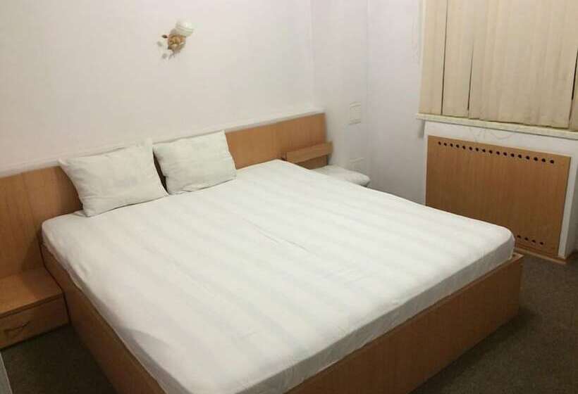 חדר סטנדרט, David Bek