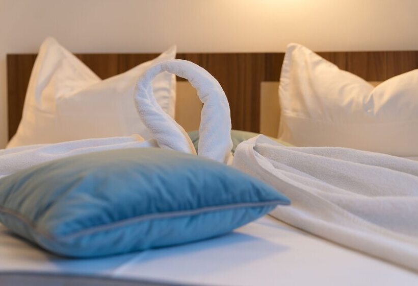 اتاق استاندارد, Pensiunea Transilvania