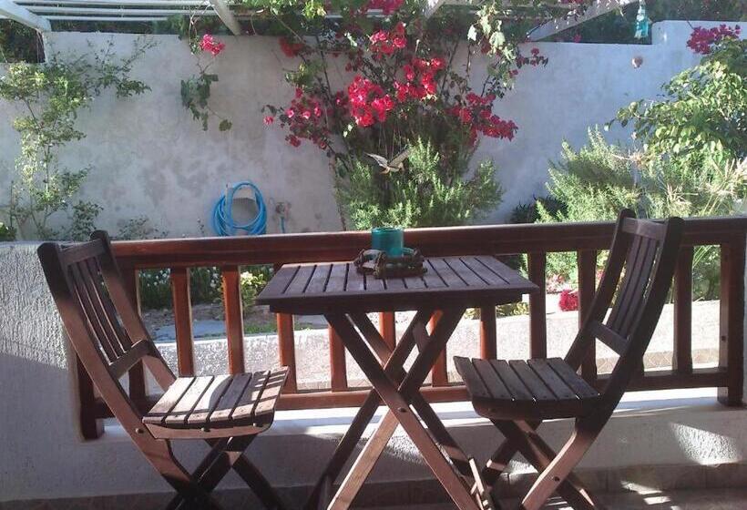 غرفة سوبيريور, Anerousses