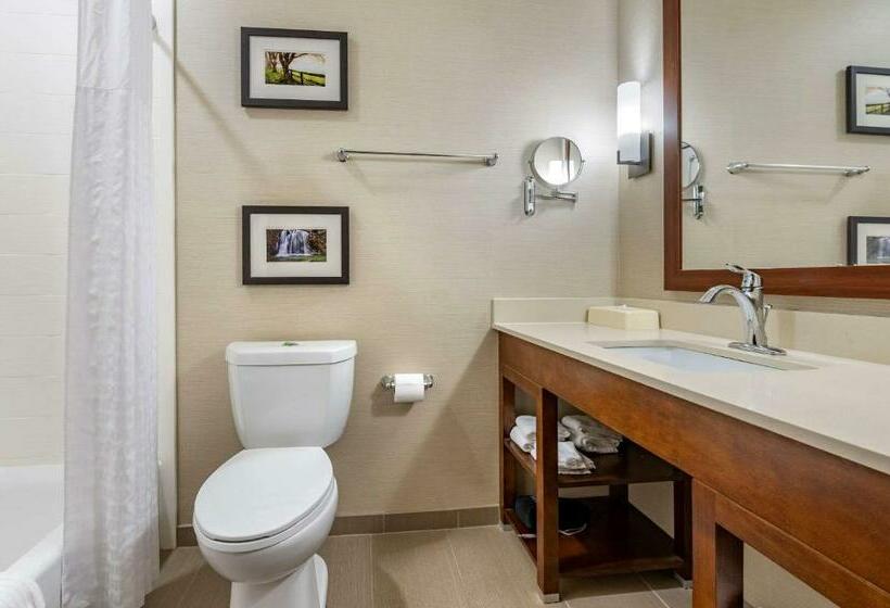 スタンダードルーム, Comfort Suites Columbus Airport