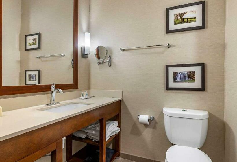 キングサイズベッドのスイートルーム, Comfort Suites Columbus Airport