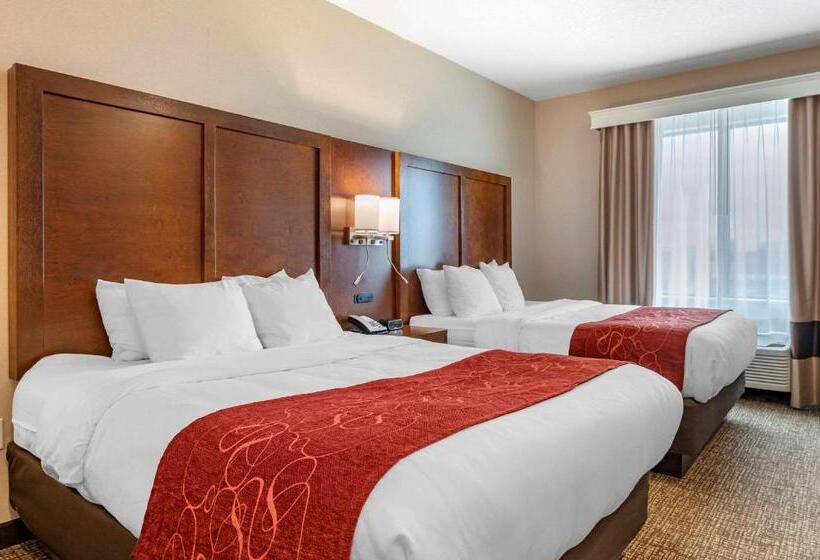 スタンダードルーム, Comfort Suites Columbus Airport