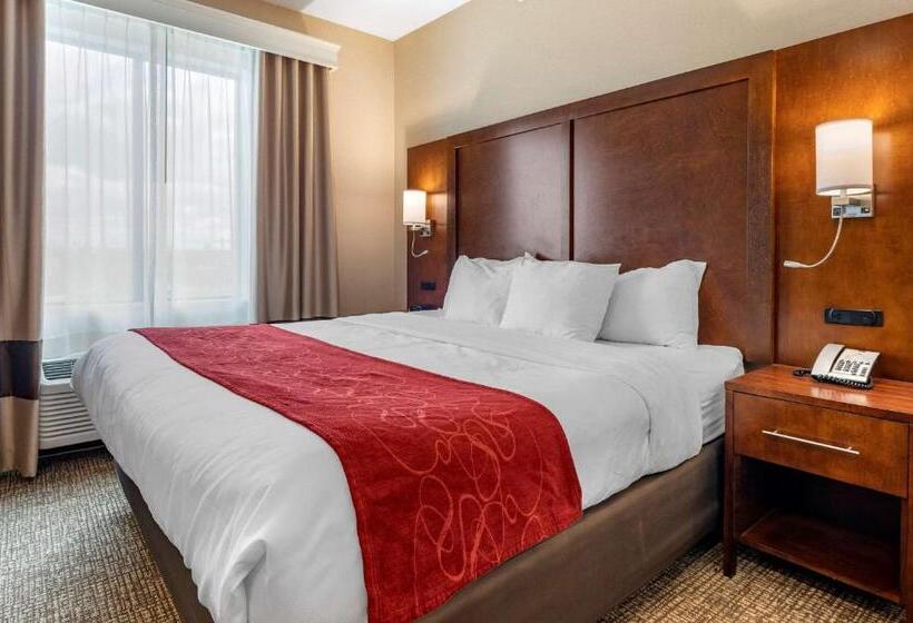 キングサイズベッドのスイートルーム, Comfort Suites Columbus Airport