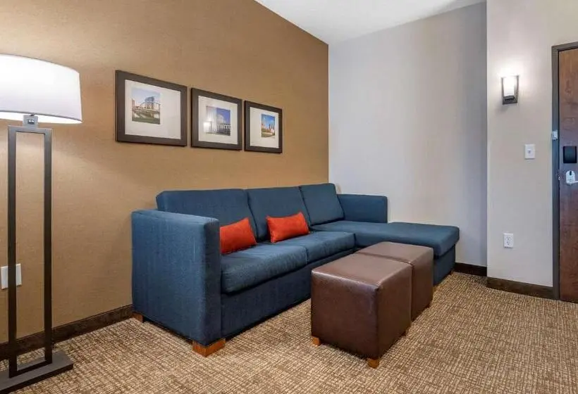 身障者適用スイートルーム, Comfort Suites Columbus Airport