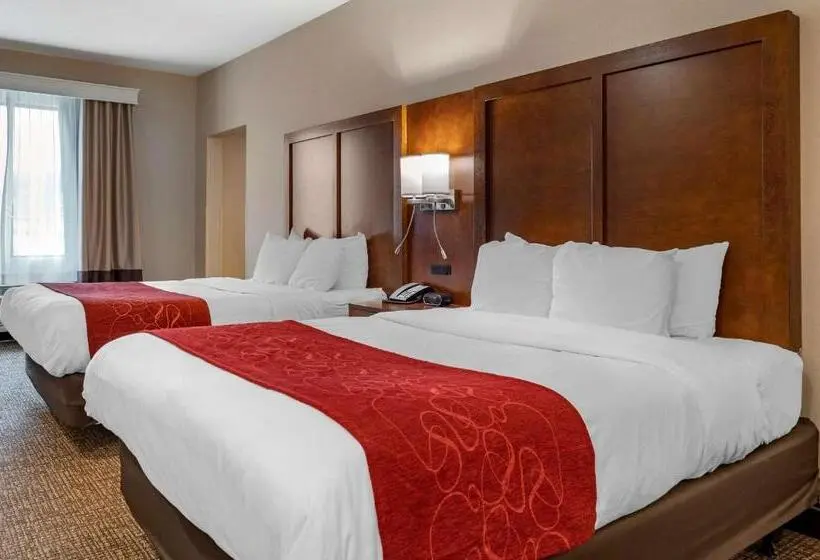 身障者適用スイートルーム, Comfort Suites Columbus Airport