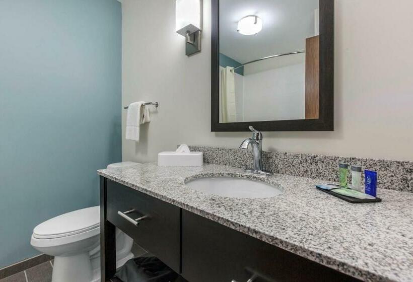 غرفة قياسية, Sleep Inn & Suites