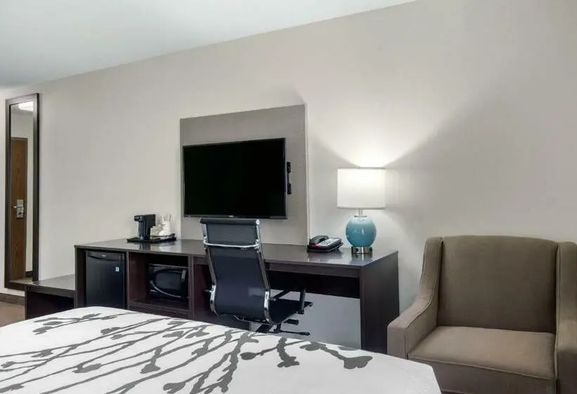 スタンダードルーム, Sleep Inn & Suites