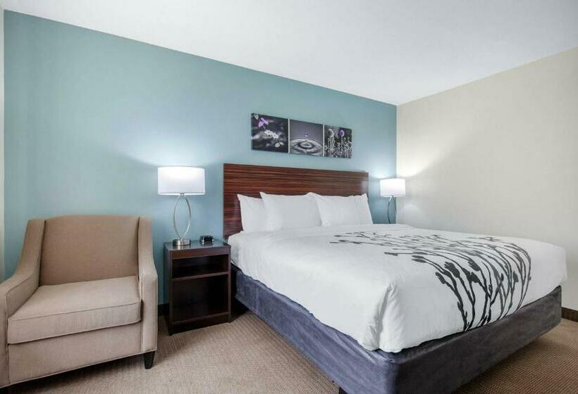 غرفة قياسية سرير كينج, Sleep Inn & Suites