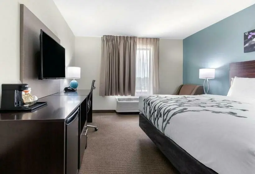 キングサイズベッドのスタンダードルーム, Sleep Inn & Suites