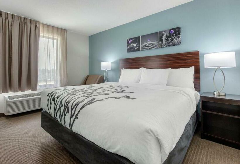 غرفة قياسية سرير كينج, Sleep Inn & Suites