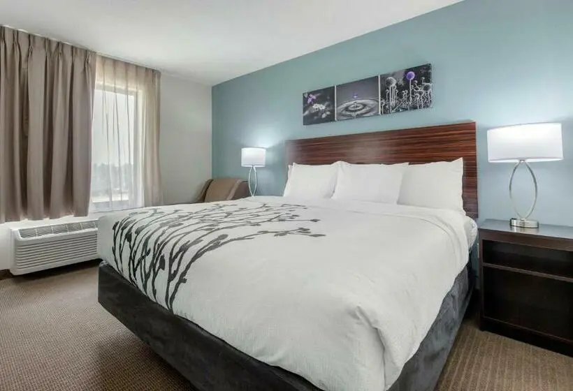 キングサイズベッドのスタンダードルーム, Sleep Inn & Suites
