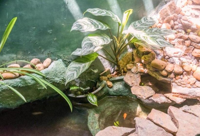 스탠다드 룸, Weligama Bay Eco Villa