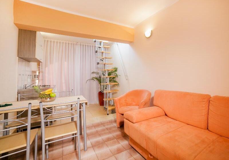 آپارتمان دوبلکس 1 خوابه, Apartments Raymond