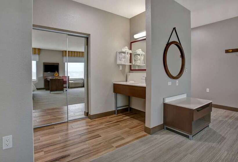 带大床的套房, Hampton Inn & Suites Reno/sparks