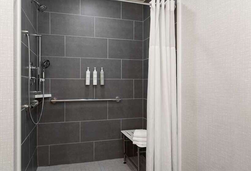 带大床的套房, Hampton Inn & Suites Reno/sparks