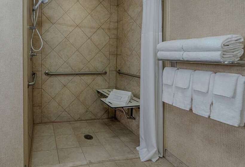 스위트 킹사이즈 침대, Hampton Inn & Suites Reno/sparks