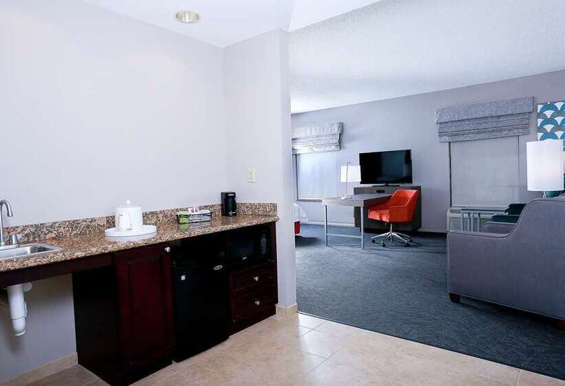 带大床的套房, Hampton Inn & Suites Reno/sparks