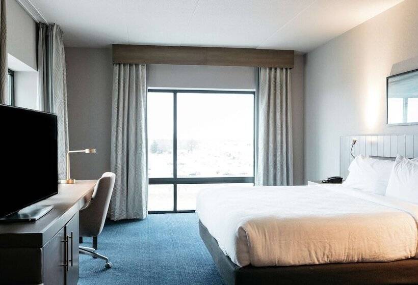 ジュニアスイート, Hilton Garden Inn Madison Sun Prairie