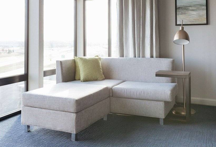 障害者適応デラックスルーム, Hilton Garden Inn Madison Sun Prairie