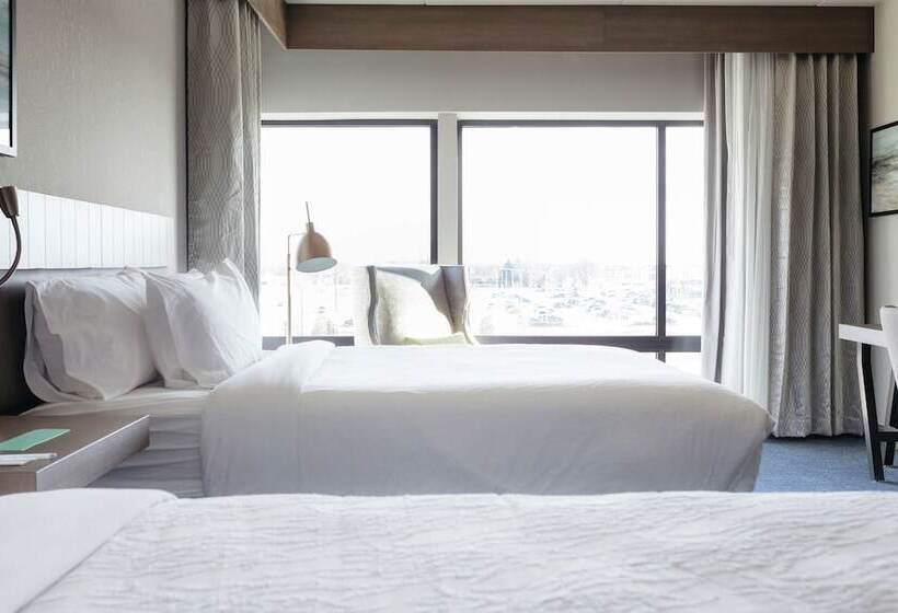 障害者適応デラックスルーム, Hilton Garden Inn Madison Sun Prairie