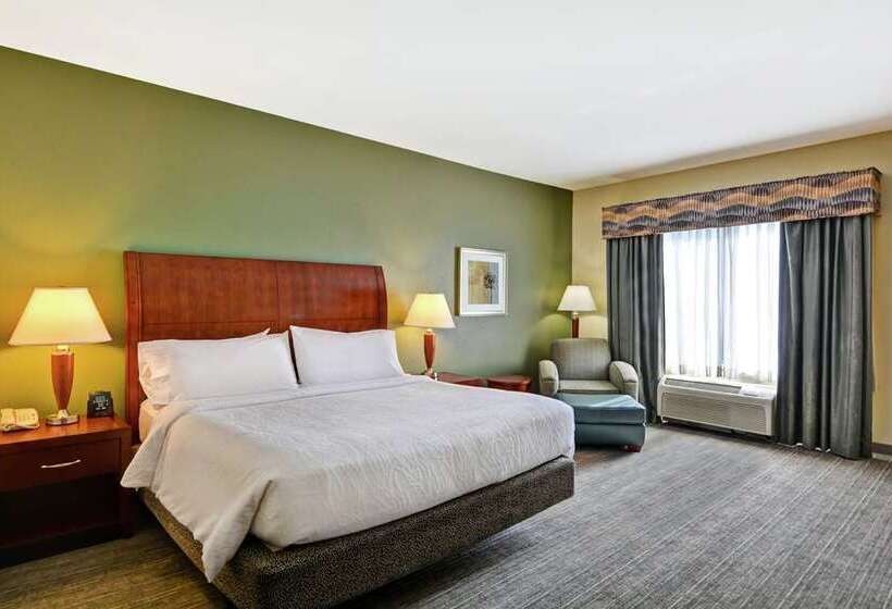 キングサイズベッドのスタンダードルーム, Hilton Garden Inn Madison Sun Prairie