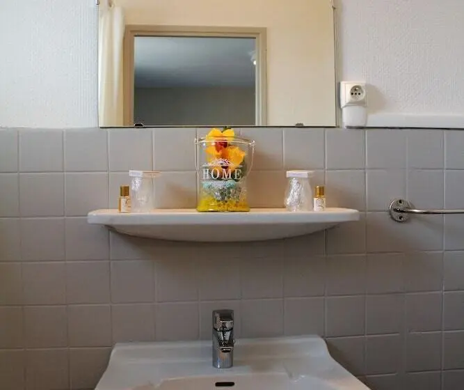 Economy Yhden Hengen Huone, Le Petit Majestic