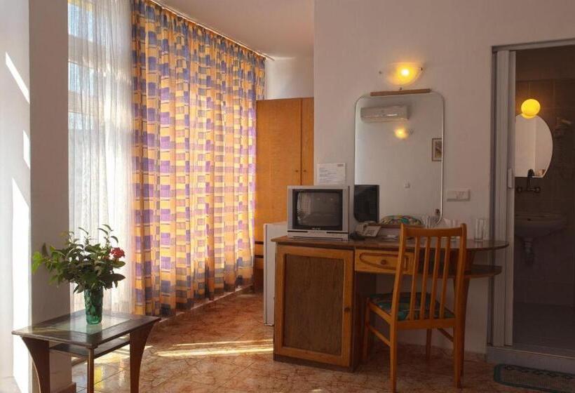 패밀리 룸, Sunny Varshava