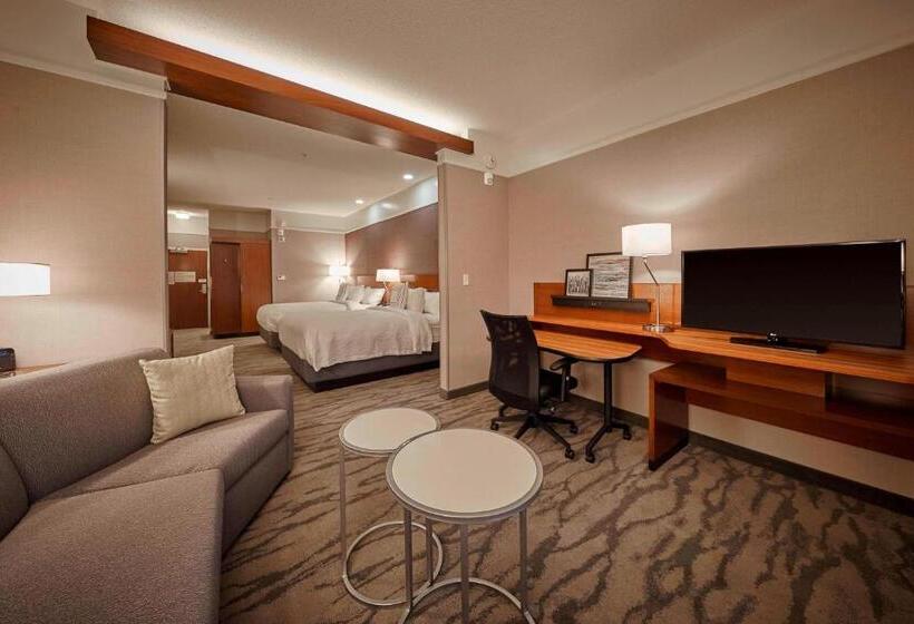 전망 스위트, Fairfield Inn & Suites By Marriott Grand Mound Centralia