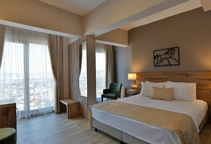 اتاق استاندارد با چشمانداز دریا, Kule