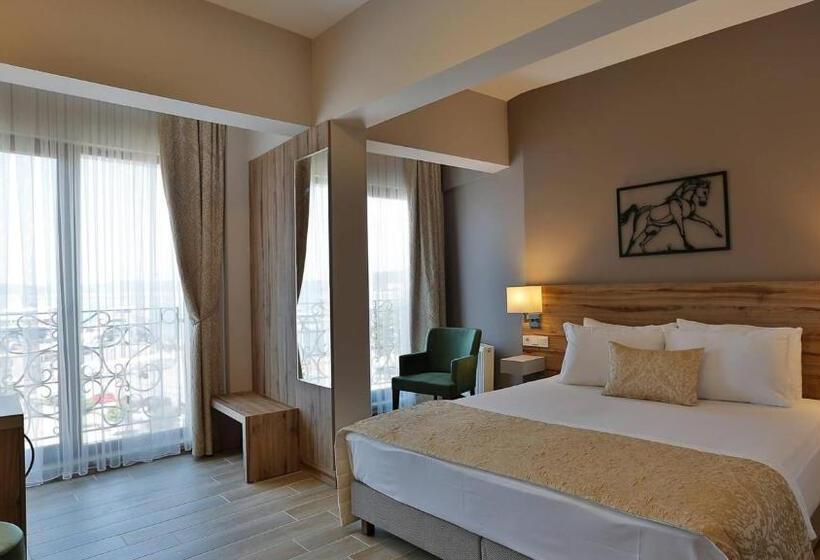 اتاق استاندارد با چشمانداز دریا, Kule