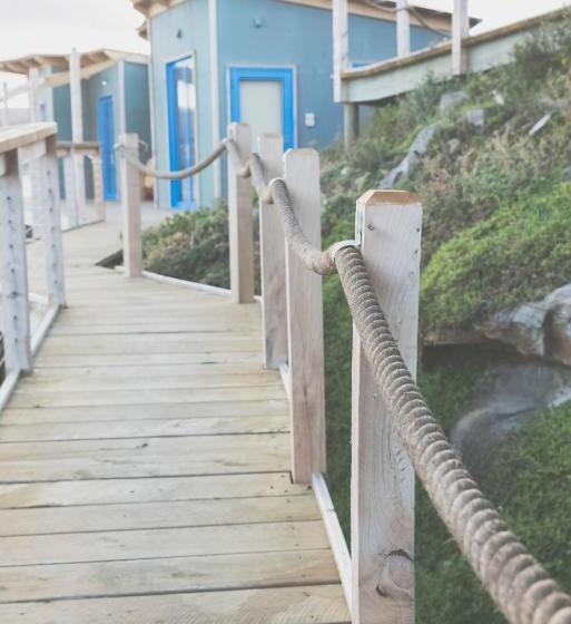 Дом 1 Спальня, Picnic Island