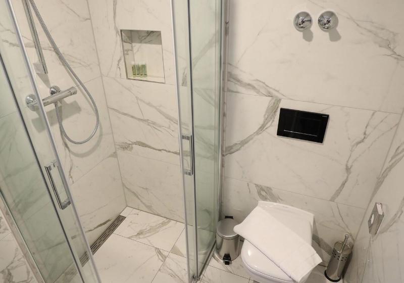 חדר סטנדרט, Sleep Inn Dusseldorf