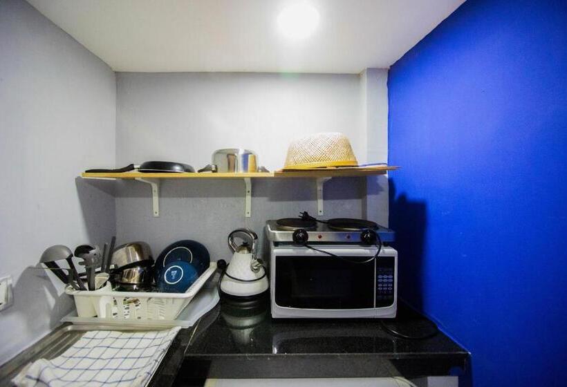 חדר דופלקס, The Artist Residence