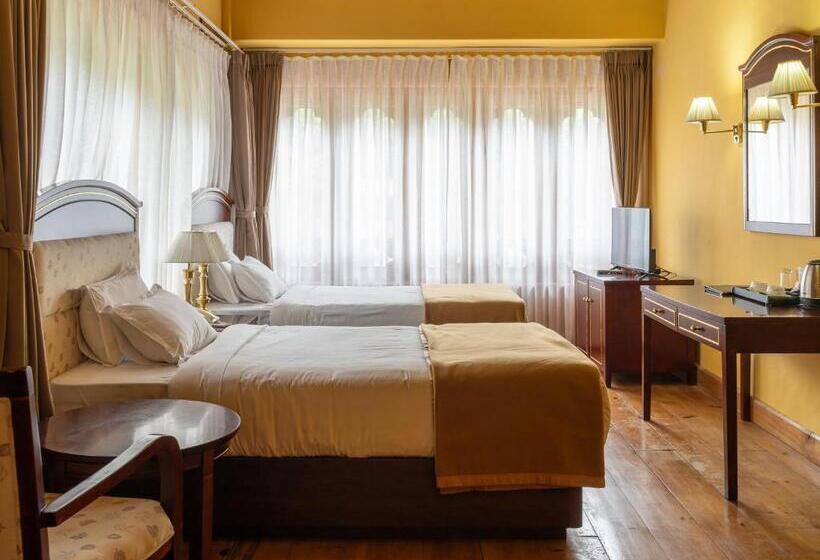 اتاق لوکس, Tiger S Nest Resort Best Resort In Paro