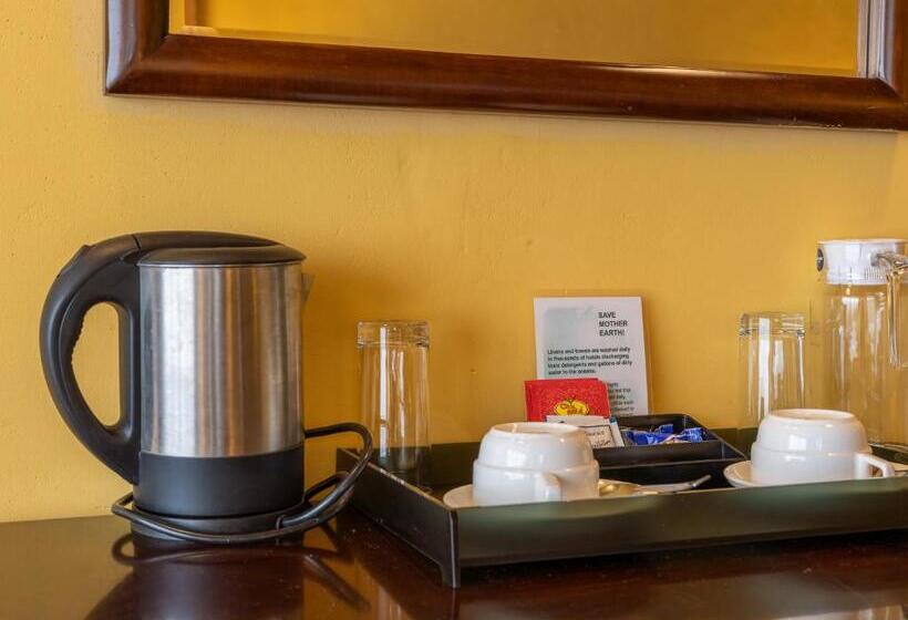 اتاق استاندارد با چشمانداز کوهستان, Tiger S Nest Resort Best Resort In Paro