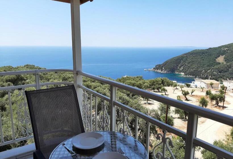 スタンダードルーム, Zoe's Studios