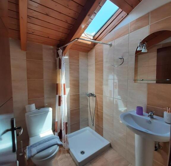 スタンダードルーム, Zoe's Studios