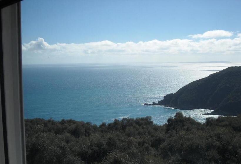 スタンダードルーム, Zoe's Studios