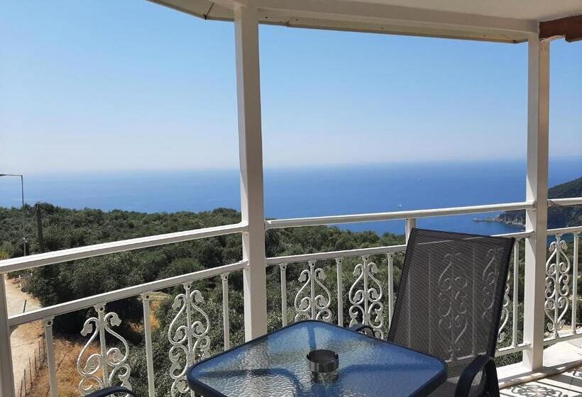 海の見えるスタンダードスタジオ, Zoe's Studios