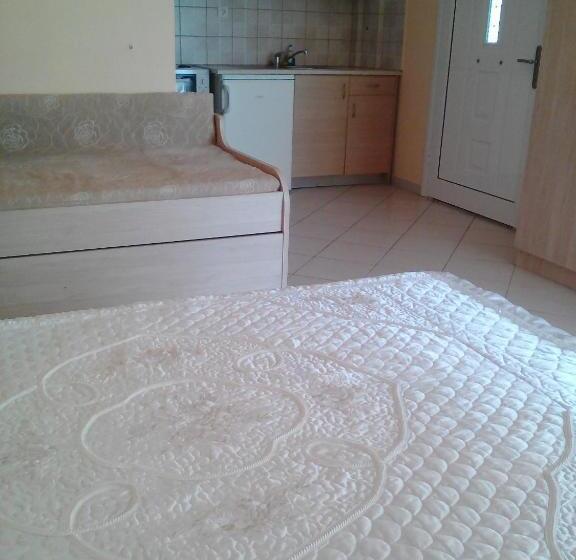 テラス付きスタンダードワンルーム, Zoe's Studios