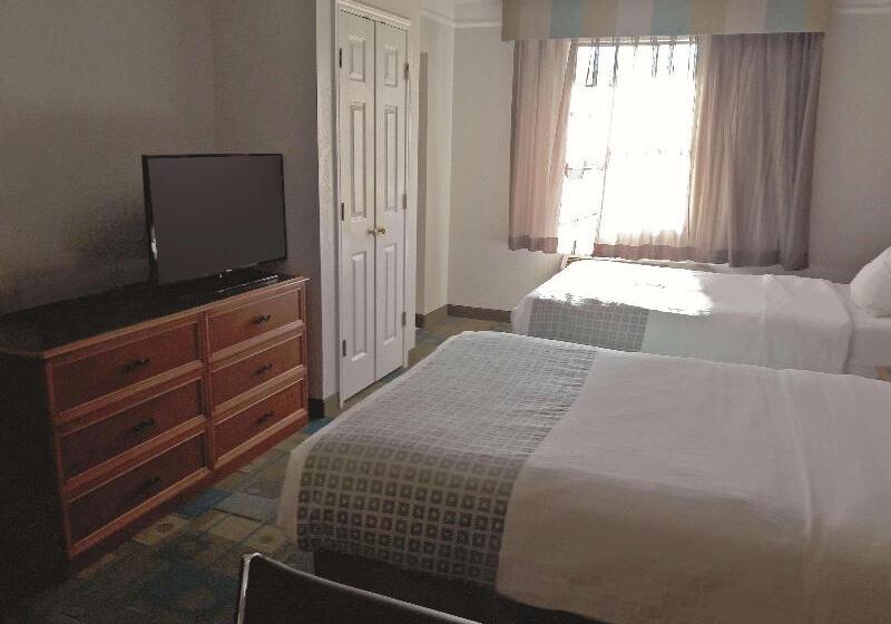 Номер Стандарт Индивидуальный, Rainforest Budget Stay