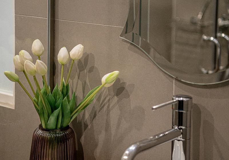 חדר קלאסי, Elia Palatino