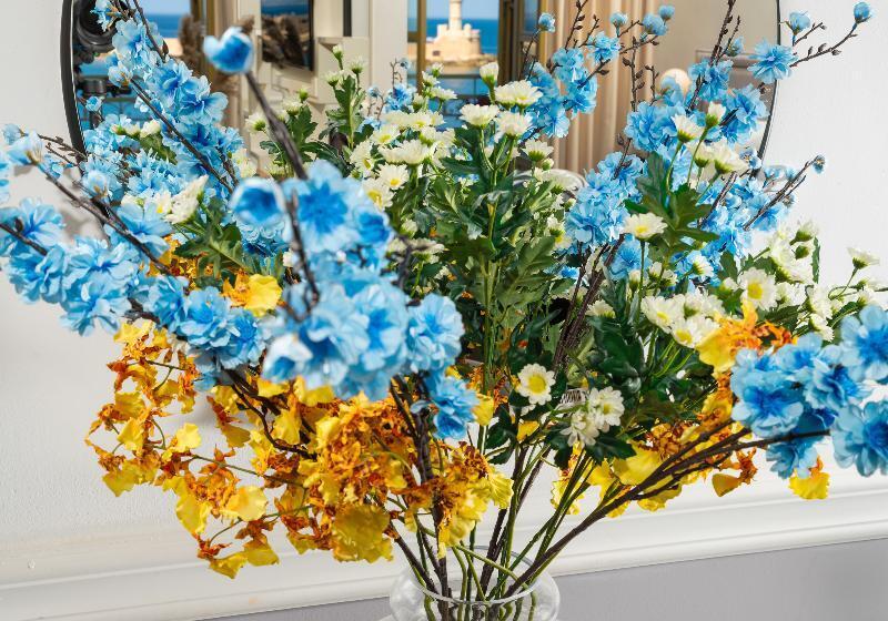 סוויטה, Elia Palatino