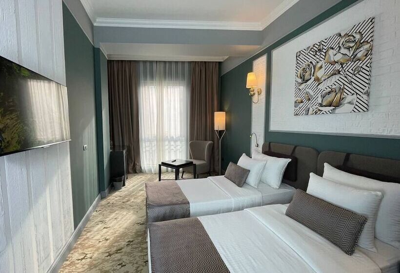 اتاق استاندارد, Teatro Rooms