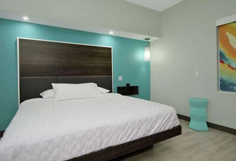 身障者適用キングサイズベッドルーム, Tru By Hilton Lafayette River Ranch